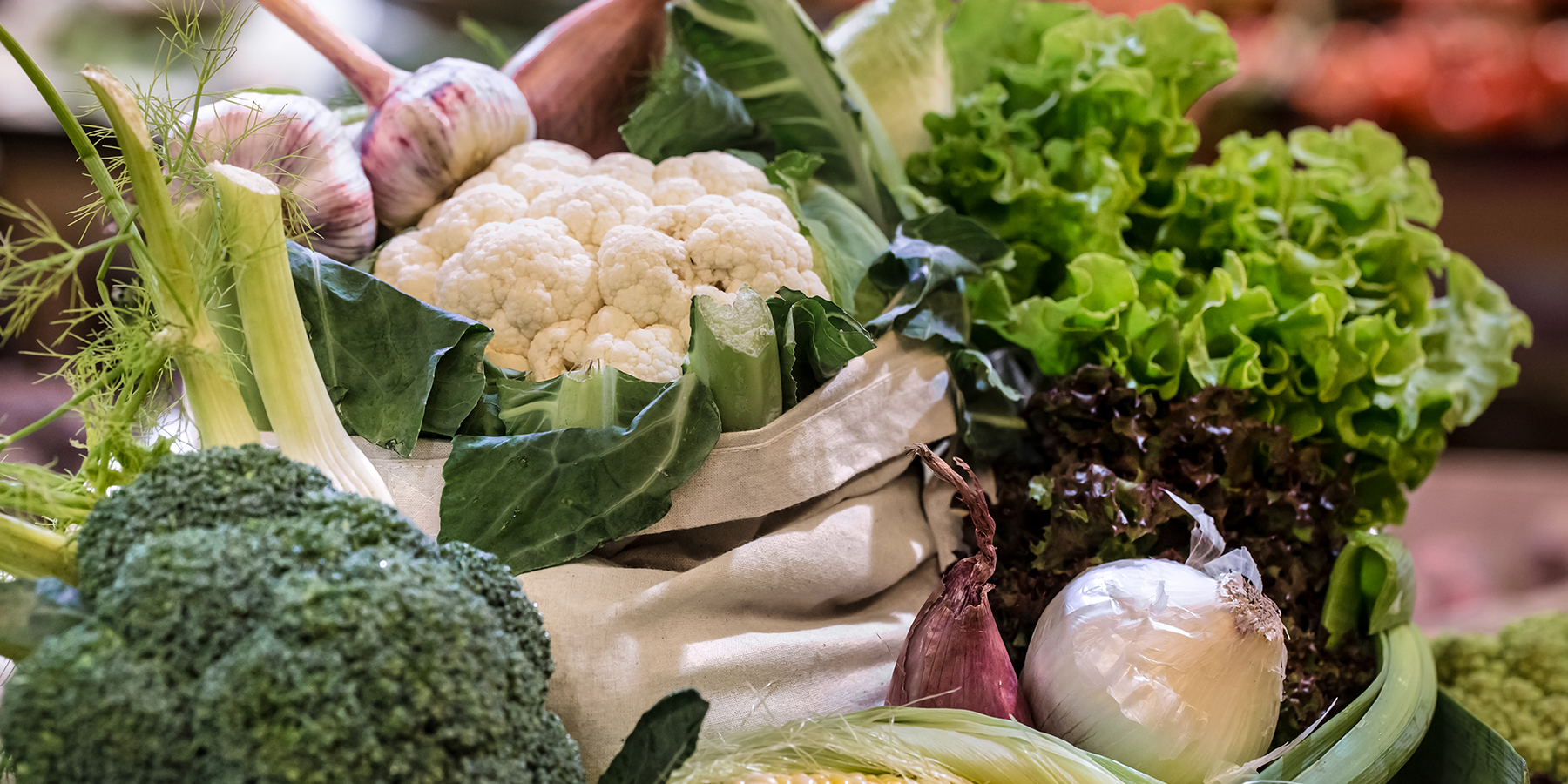 Bora Gastronomic – Fruites i Verdures Fresques i Ecològiques