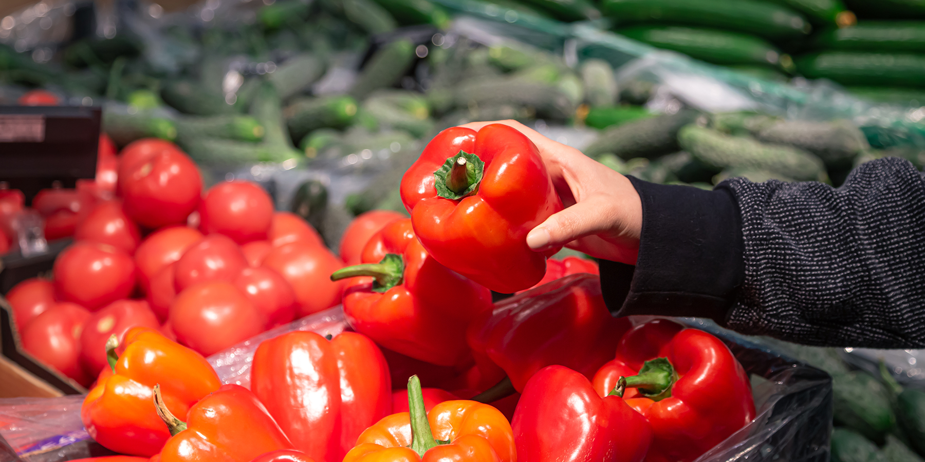 Bora Gastronomic – Fruites i Verdures Fresques i Ecològiques