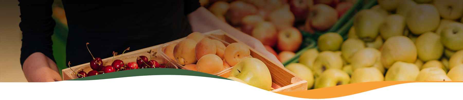 Bora Gastronomic – Fruites i Verdures Fresques i Ecològiques