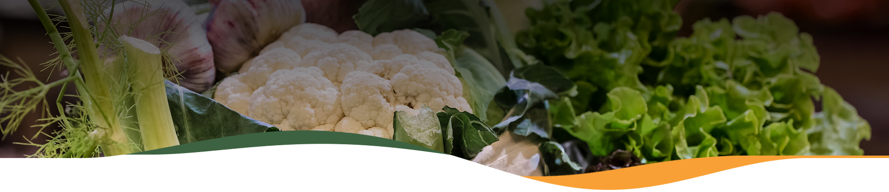 Bora Gastronomic – Fruites i Verdures Fresques i Ecològiques