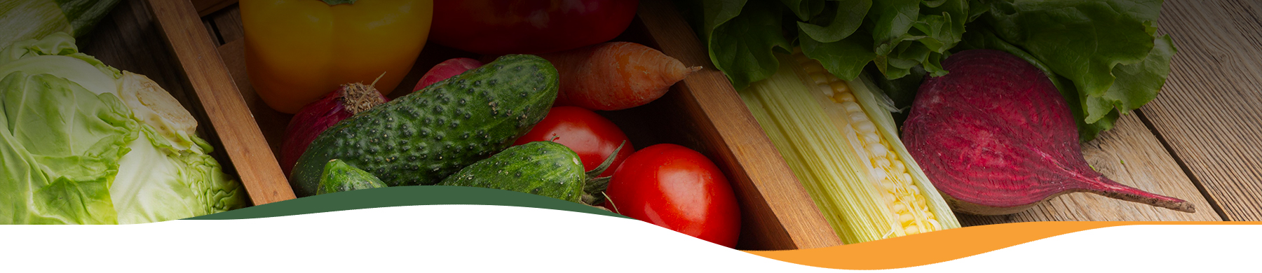 Bora Gastronomic – Fruites i Verdures Fresques i Ecològiques