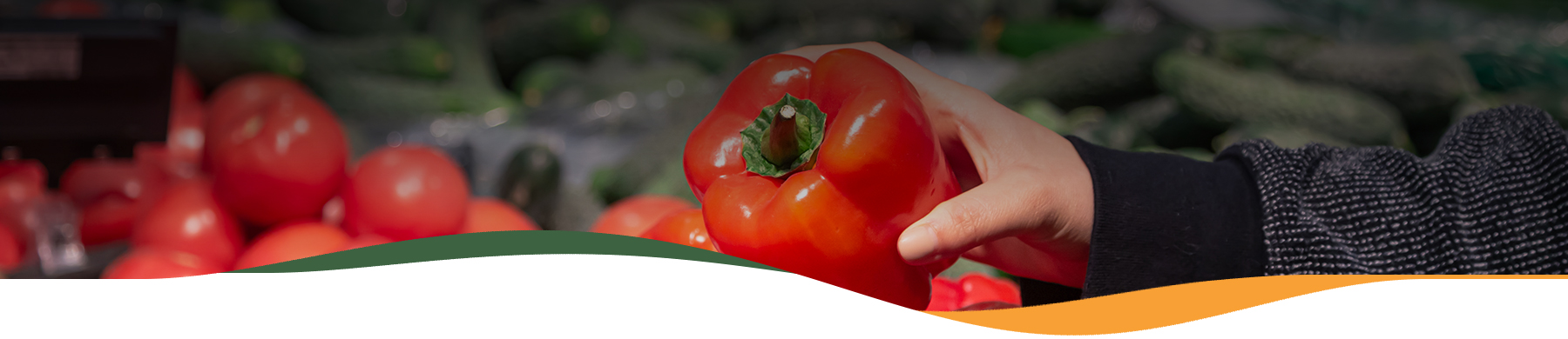 Bora Gastronomic – Fruites i Verdures Fresques i Ecològiques