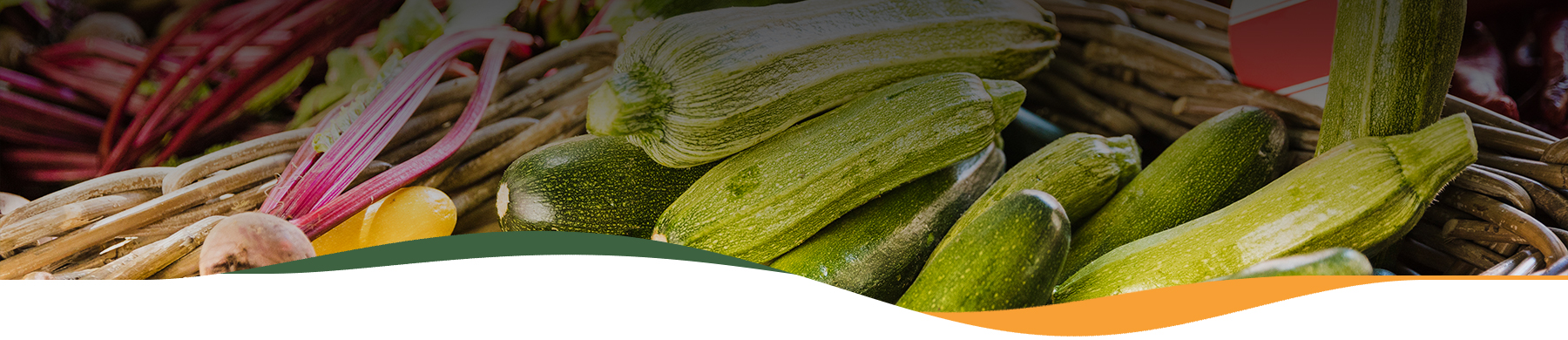 Bora Gastronomic – Fruites i Verdures Fresques i Ecològiques